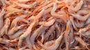 Karides Besin Değeri Kaçtır?