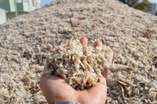 Arpa Posası Besin Değerleri Kaçtır?