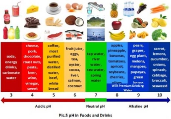 Gıdaların Besin Değerleri Kaçtır?