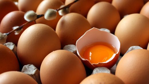 Tavuk Yumurtası Besin Değerleri